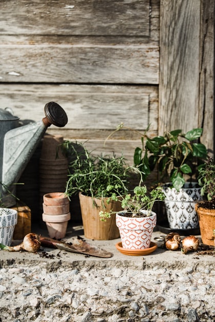 Cómo Diseñar un Jardín Sostenible